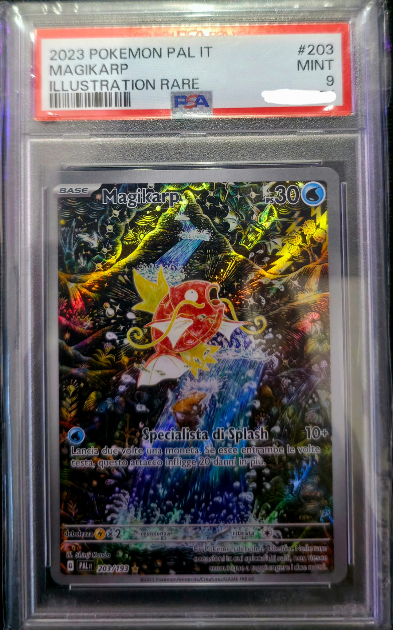 Pokémon - Magikarp - PAL 203 - Evoluzioni a Paldea - ITA - PSA 9